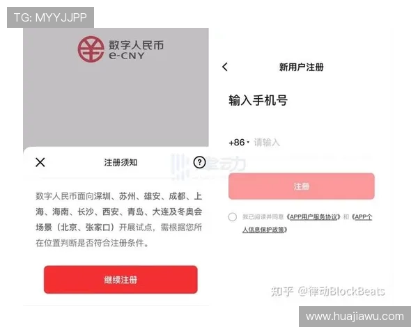 高效完成ag捕鱼官网会员注册的技巧与经验分享