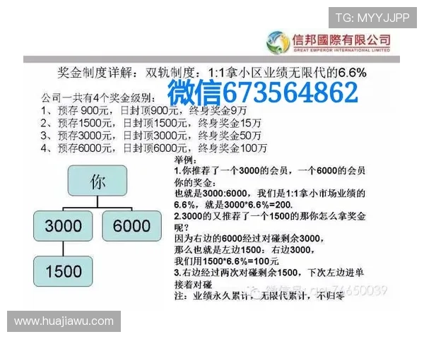 如何选择可靠的AG在线充值平台,确保资金安全和充值效率的实用指南 如何选择可靠的AG在线充值平台,确保资金安全和充值效率的实用指南